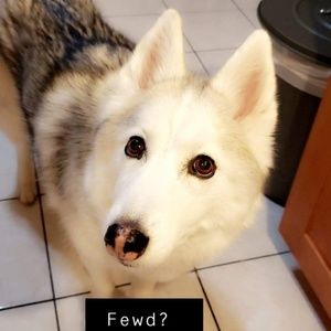 Meet your Posher, Ari